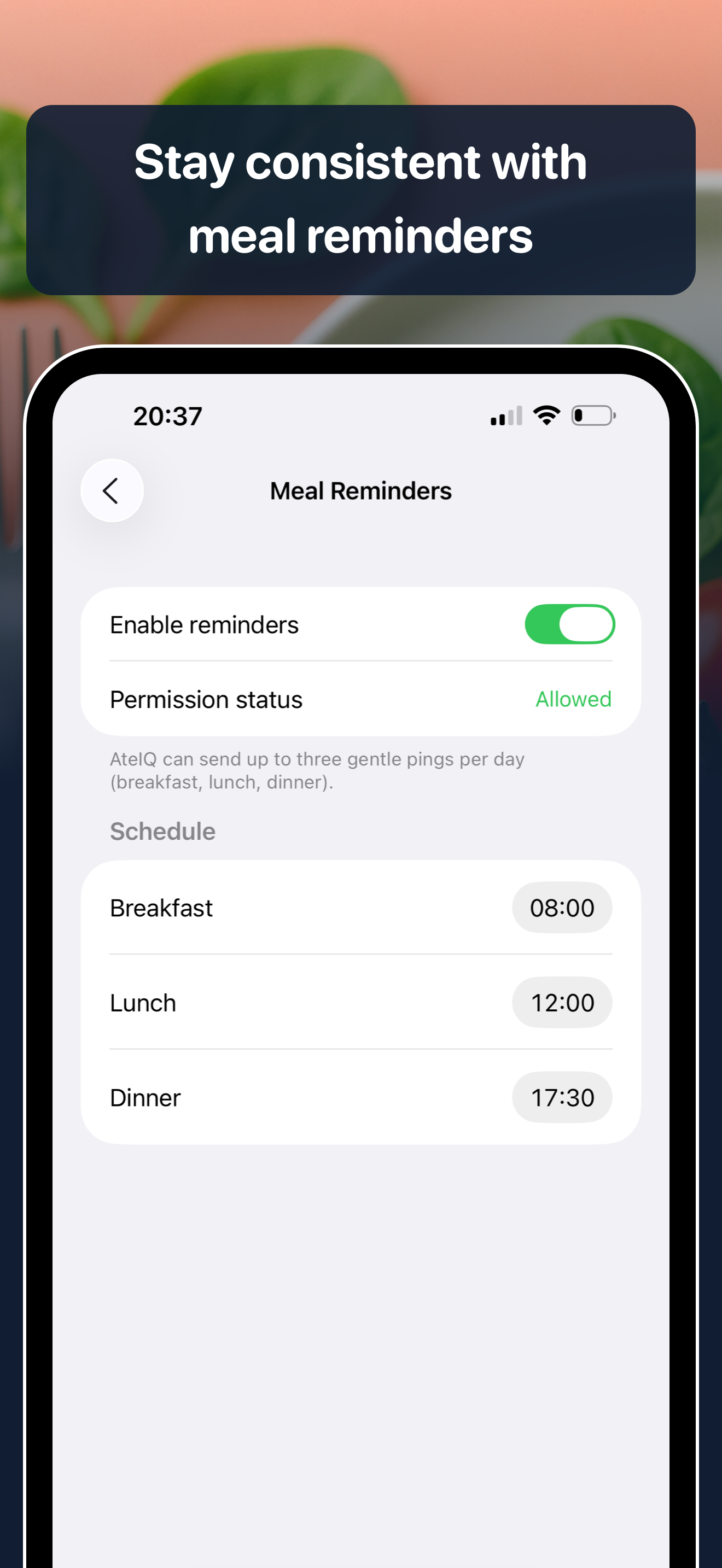 AteIQ v1.4 — Smarter AI Meal Tracking gallery image