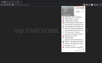 Quick Pocket (formerly Pocket Legacy) gallery image