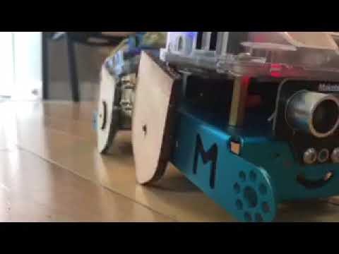 Walking mBots gallery image
