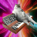 Katt.