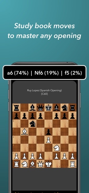SKchess gallery image