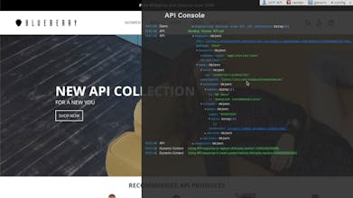 eXPerience APIs gallery image