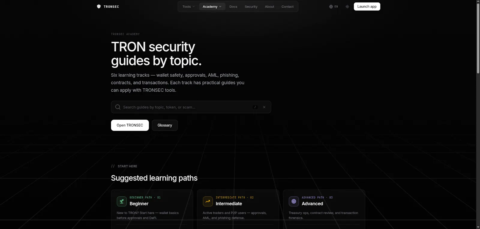 TRONSEC screenshot 3