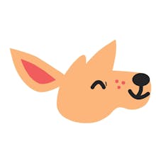 Paid.care gallery image