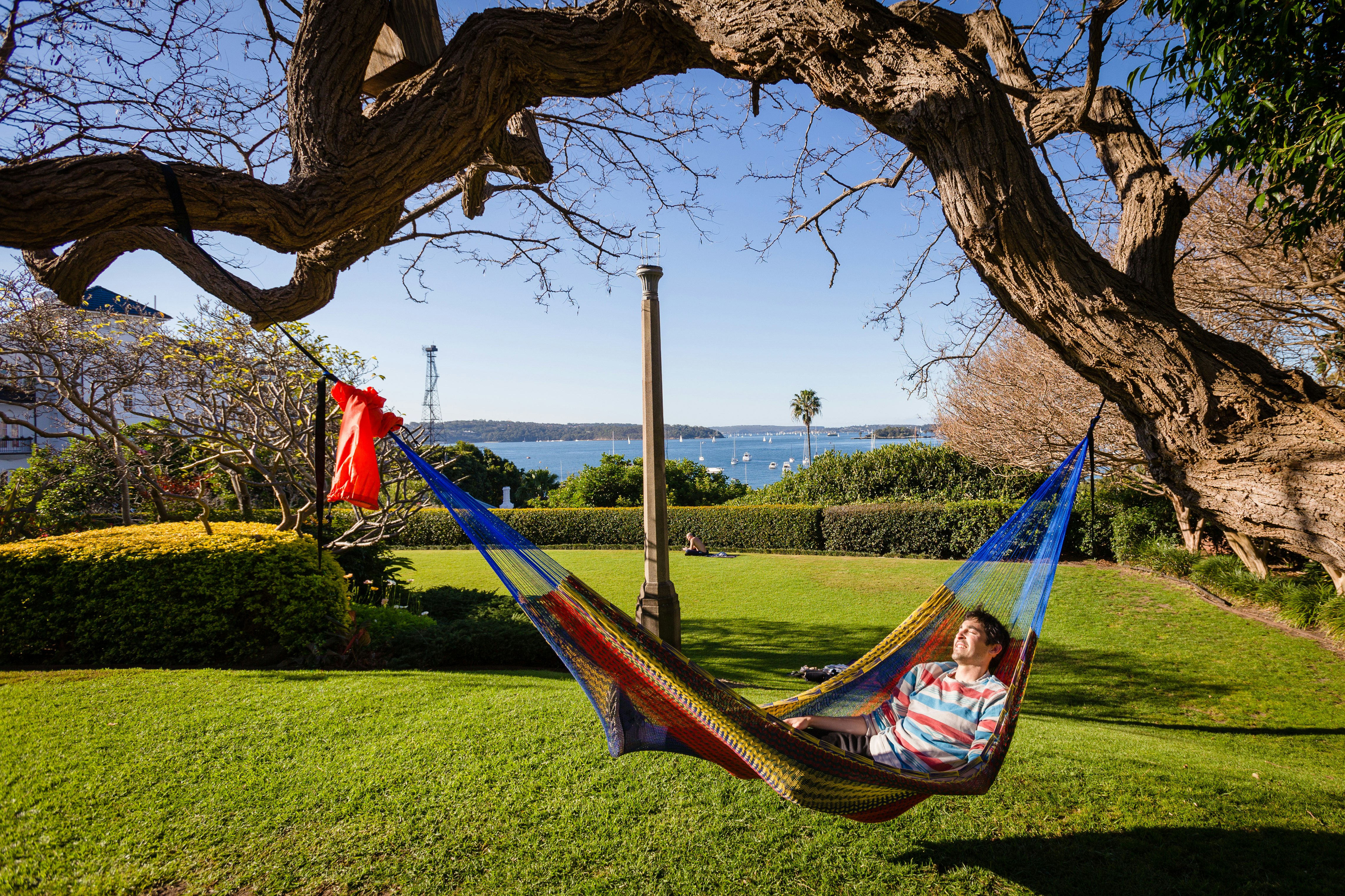 Maca Hammock gallery image