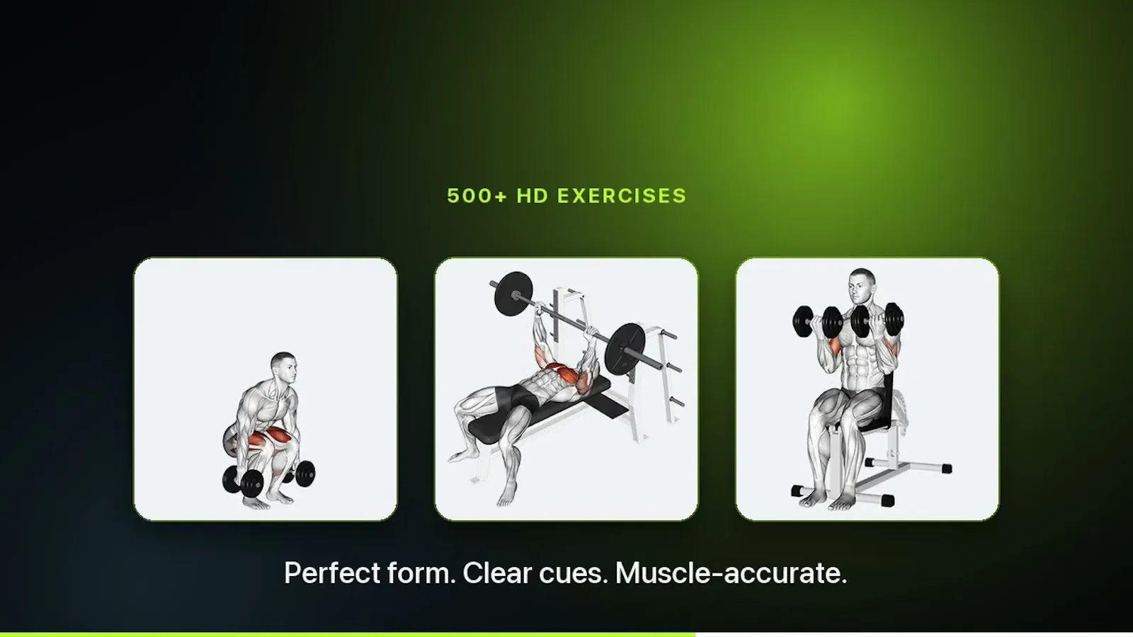 2fit4u screenshot 1 (video preview)