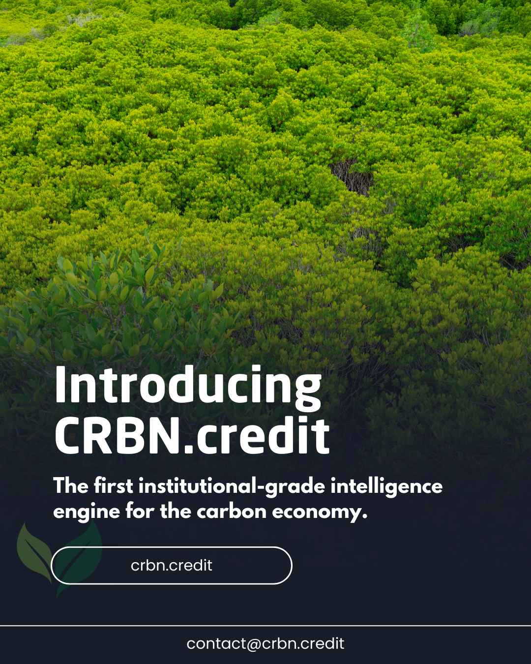 CRBN.CREDIT gallery image