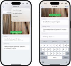 FastVLM gallery image