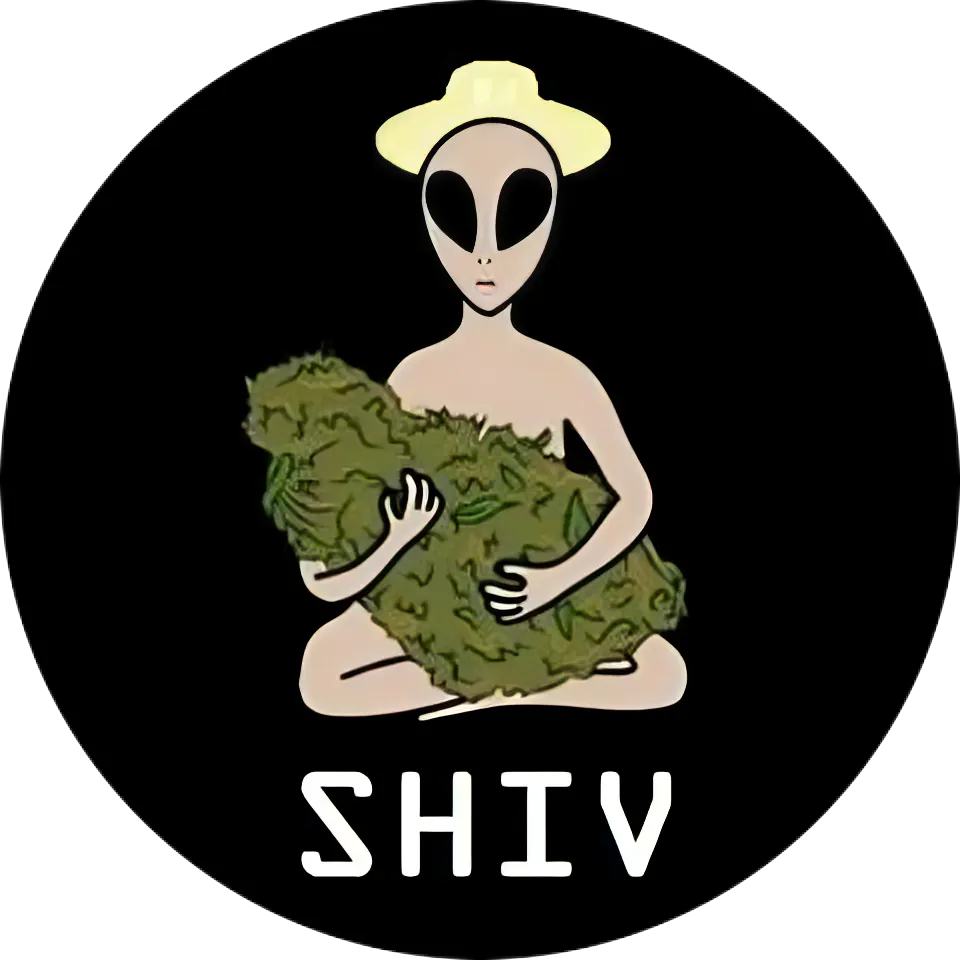 DJ Shiv