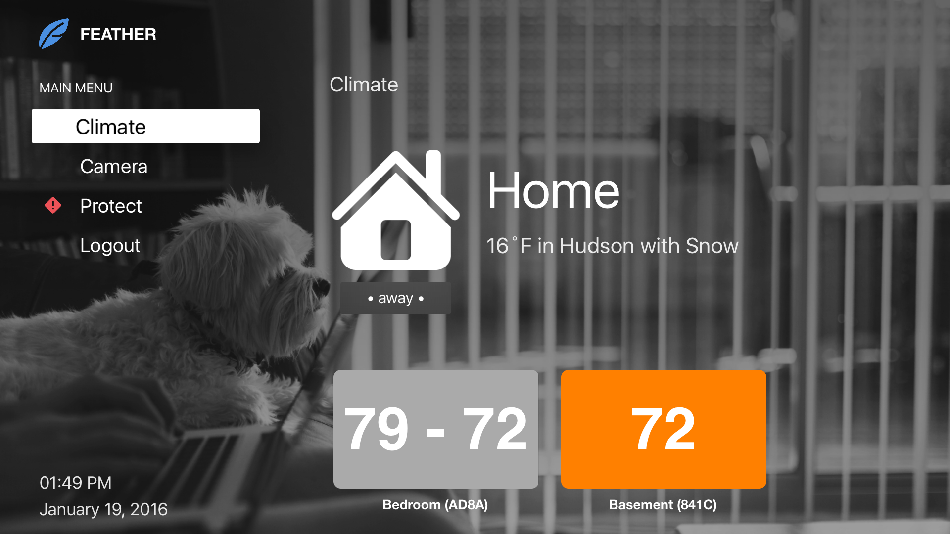 Feather - Nest for the TV gallery image