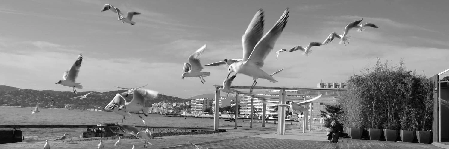 Nikita Lukianets cover