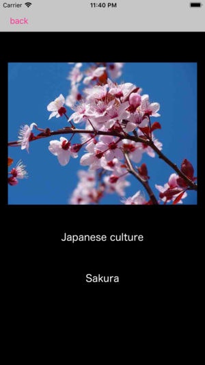 remoCards gallery image