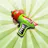 App Zapper!
