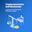 Cryptocurrencies and Blockchain: A Guide