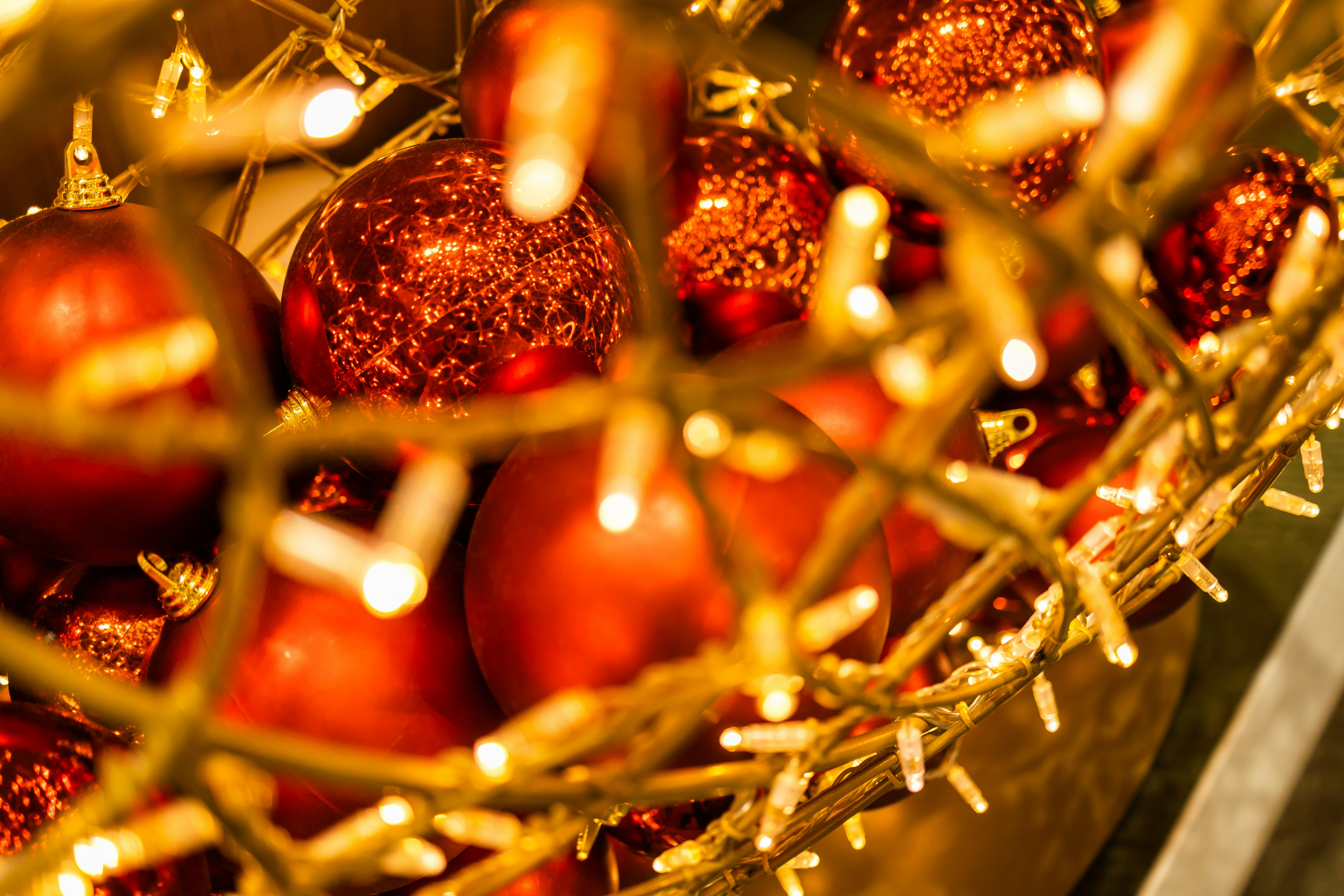 Lumières de Noël scintillantes