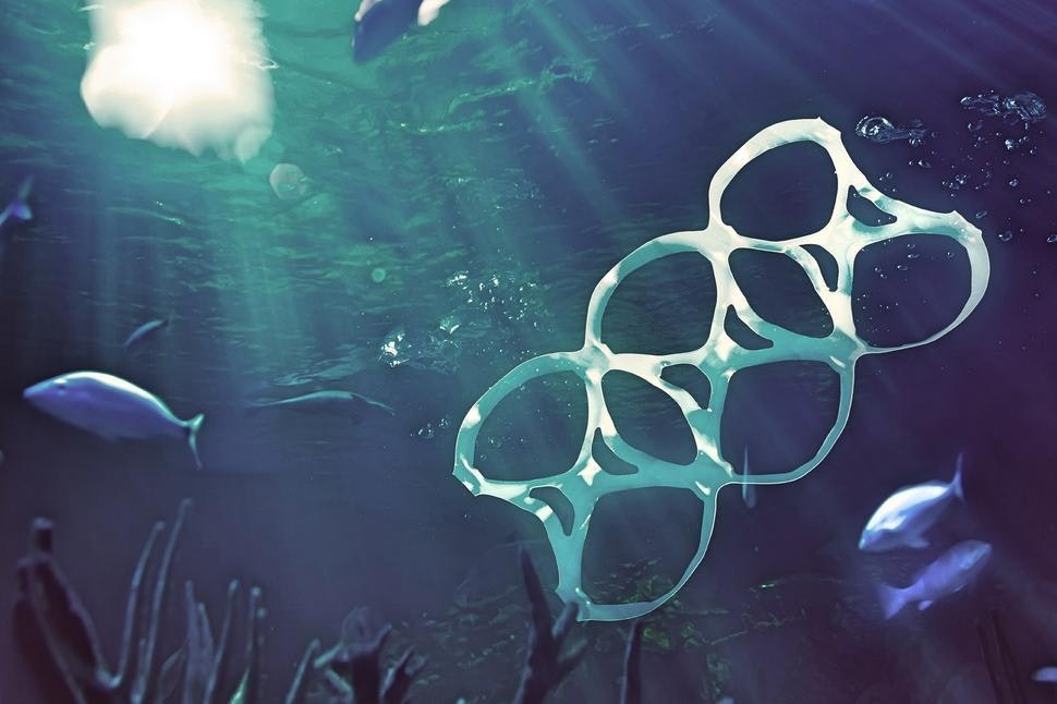 Sea2see gallery image