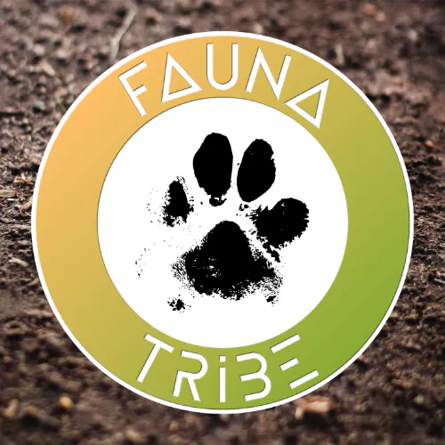Fauna Tribe