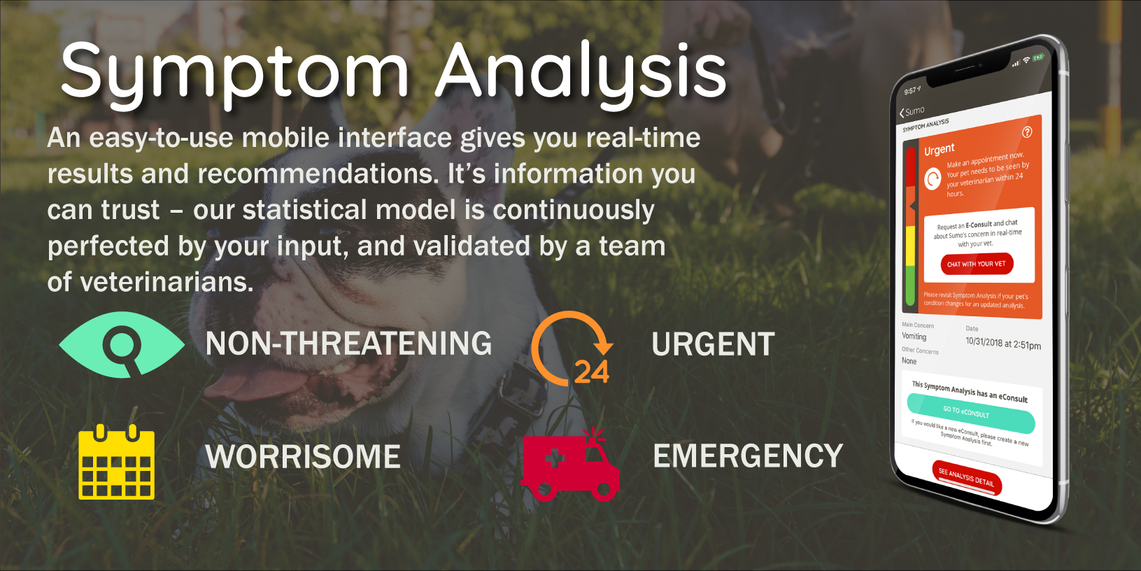 Petriage gallery image