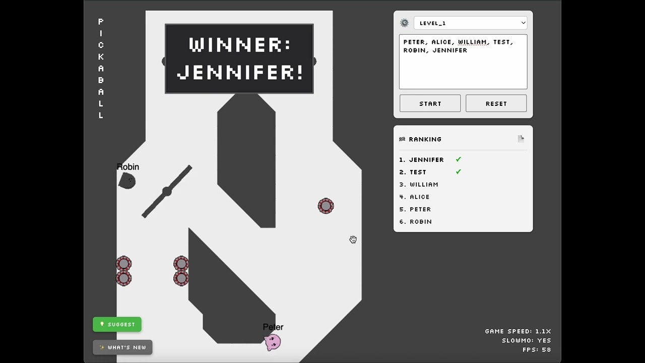 pickaball.io gallery image