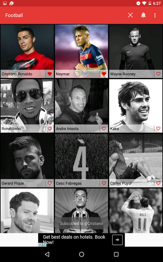 Sports Fan gallery image