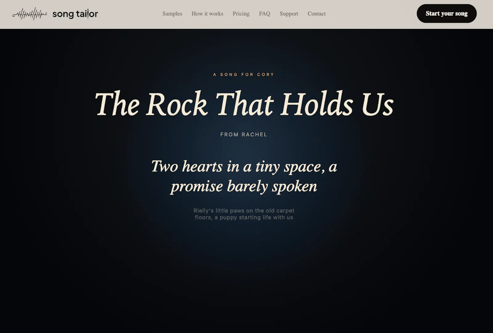 Song Tailor screenshot 2