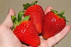 Sparkle strawberry media 1