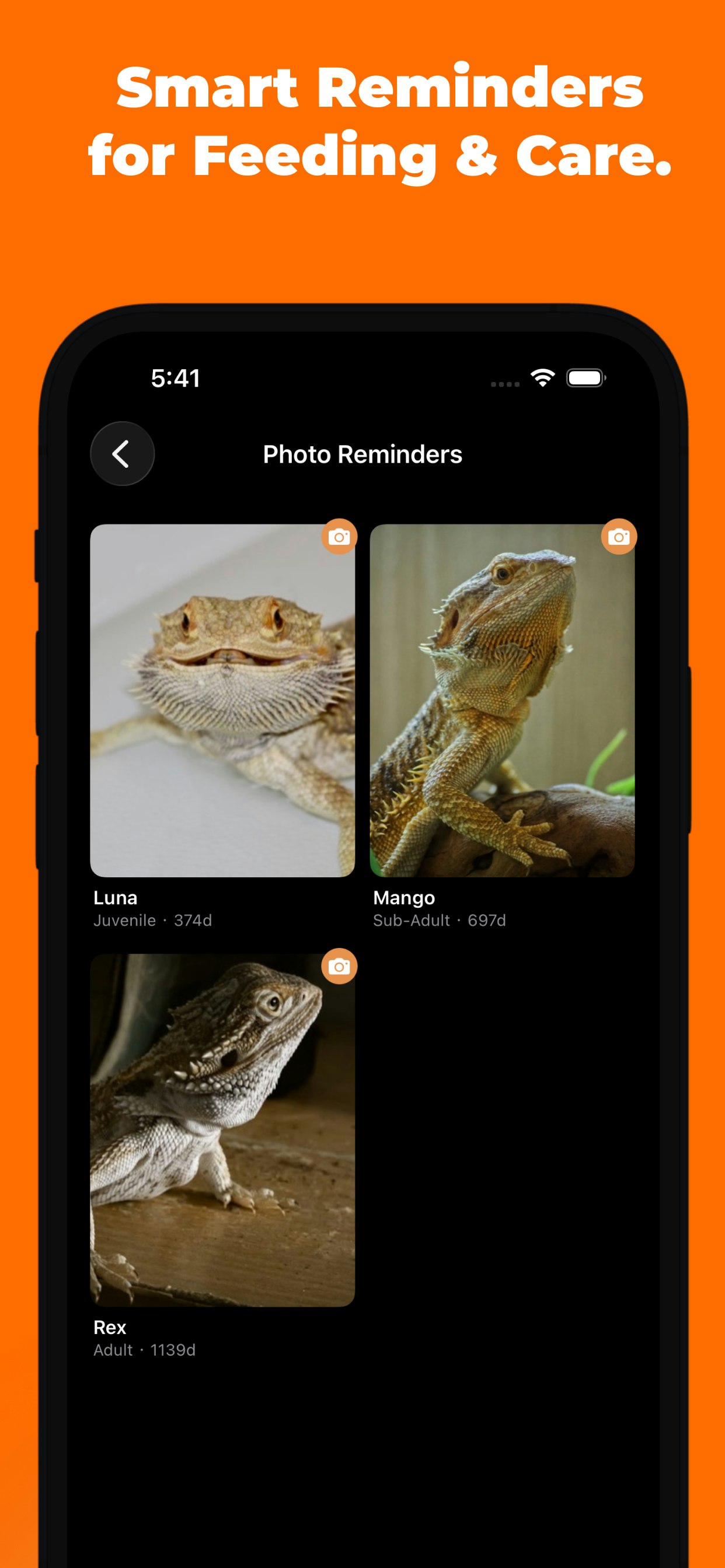 Beardie Days gallery image