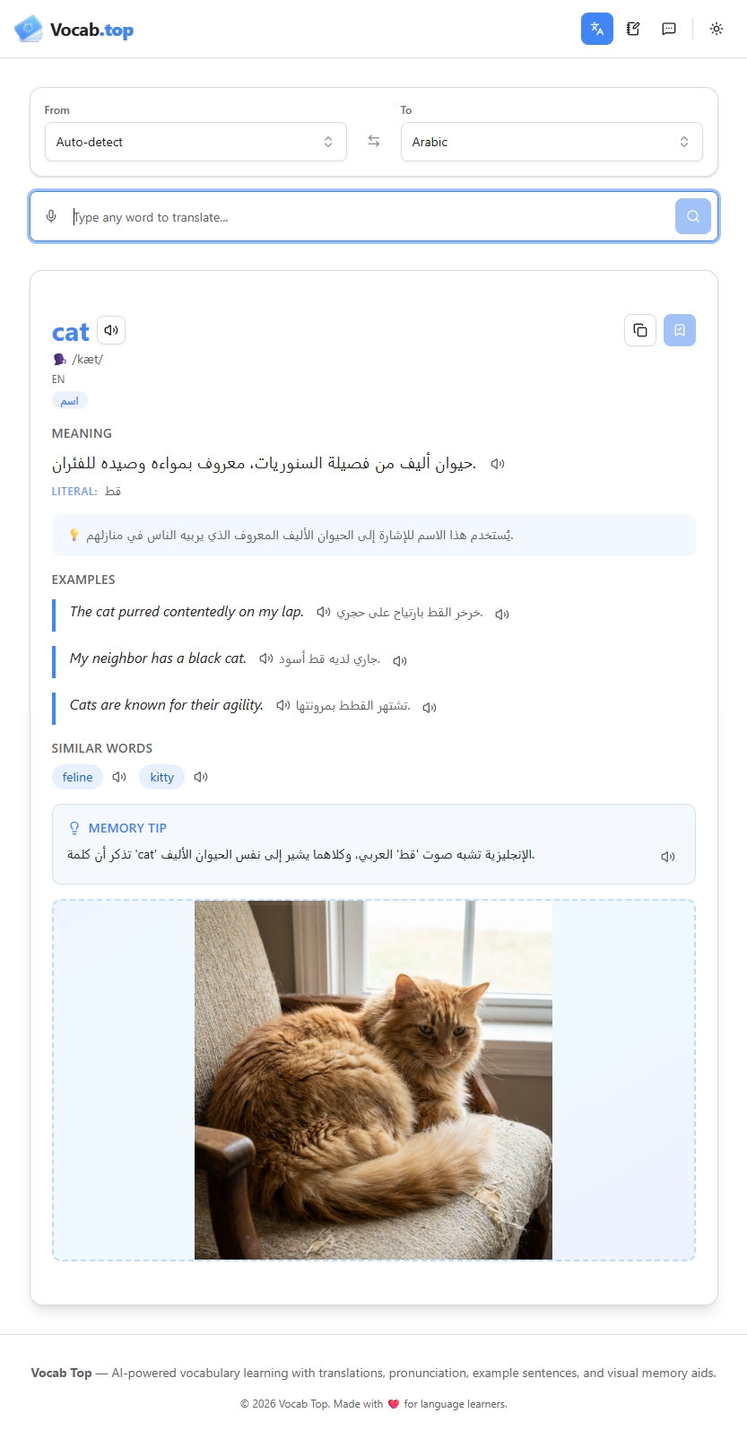 Vocab Top gallery image
