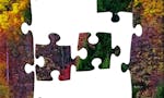 Real Jigsaw Puzzle image