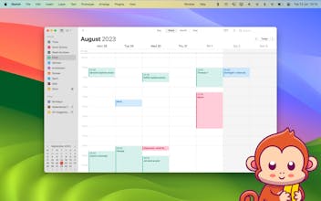 Posture Pal gallery image