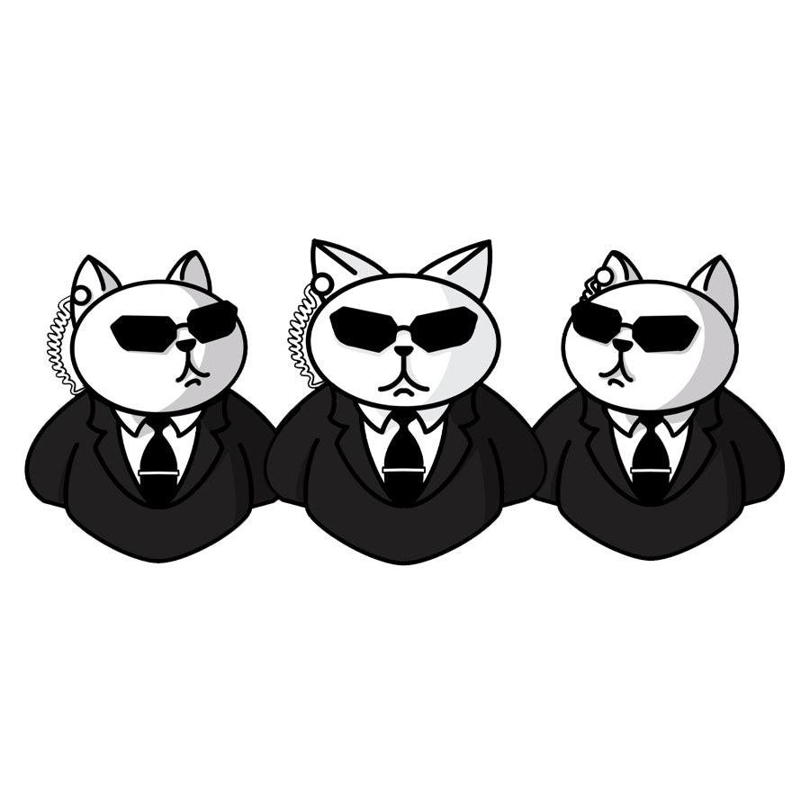 Équipe de chat