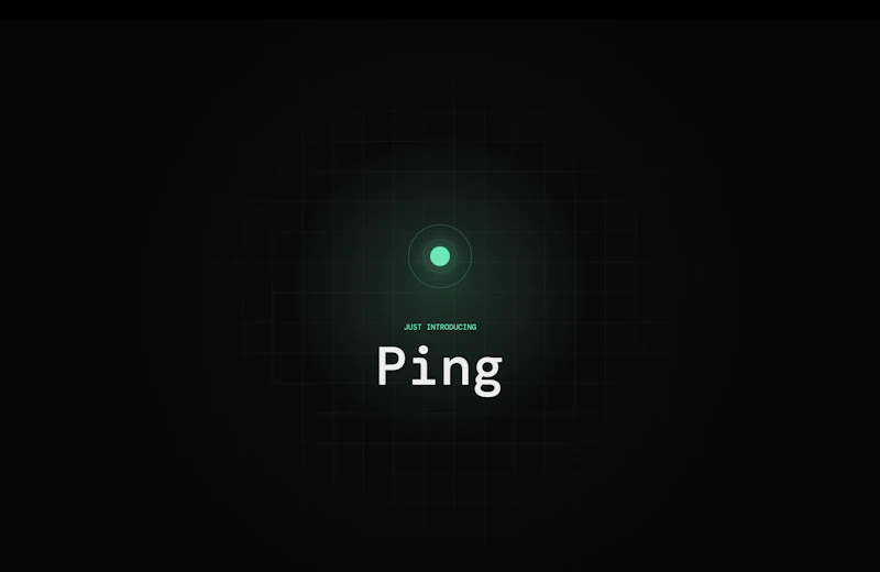 Ping screenshot 1