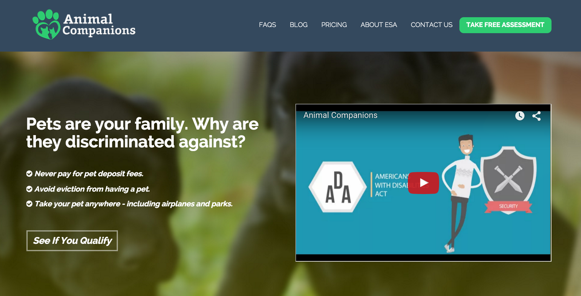 Animal Companions gallery image