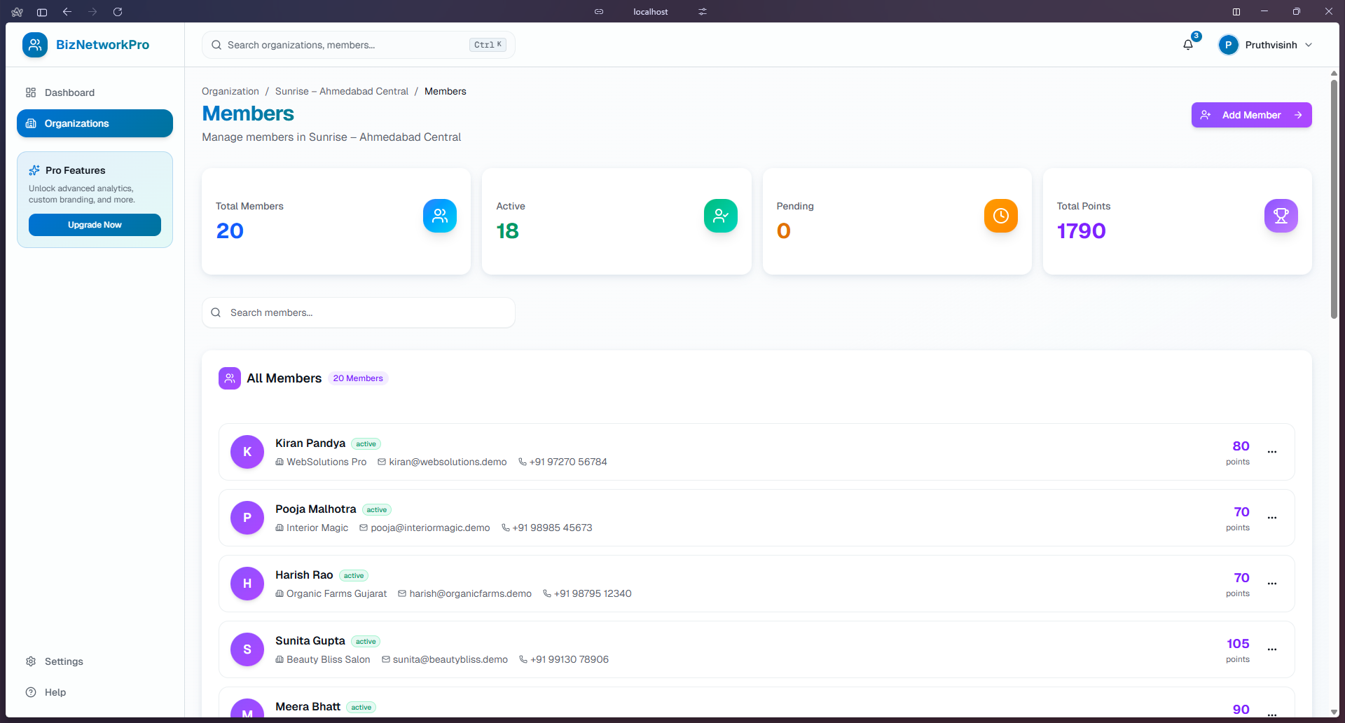 BizNetworkPro gallery image