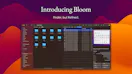 Bloom