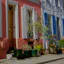 Pretty Streets
