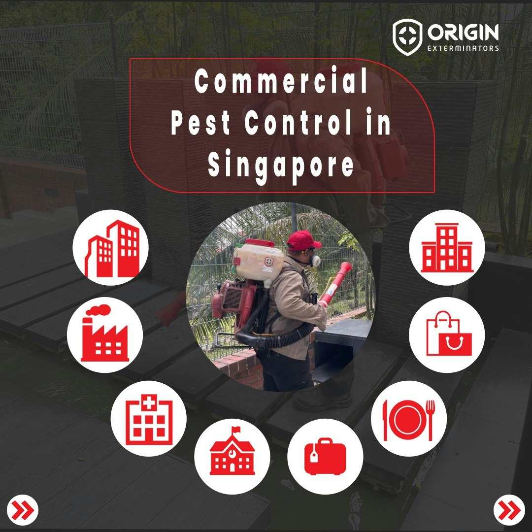 Pest Control Services Singapore gallery image