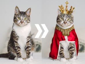 StudioGrams gallery image