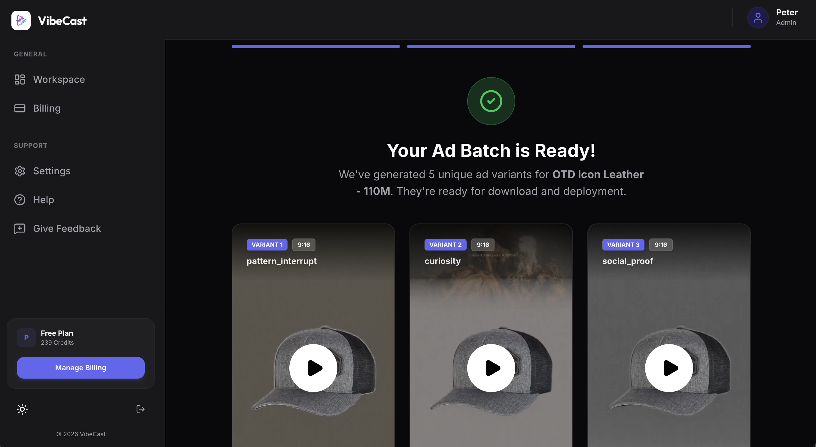 VibeCast gallery image