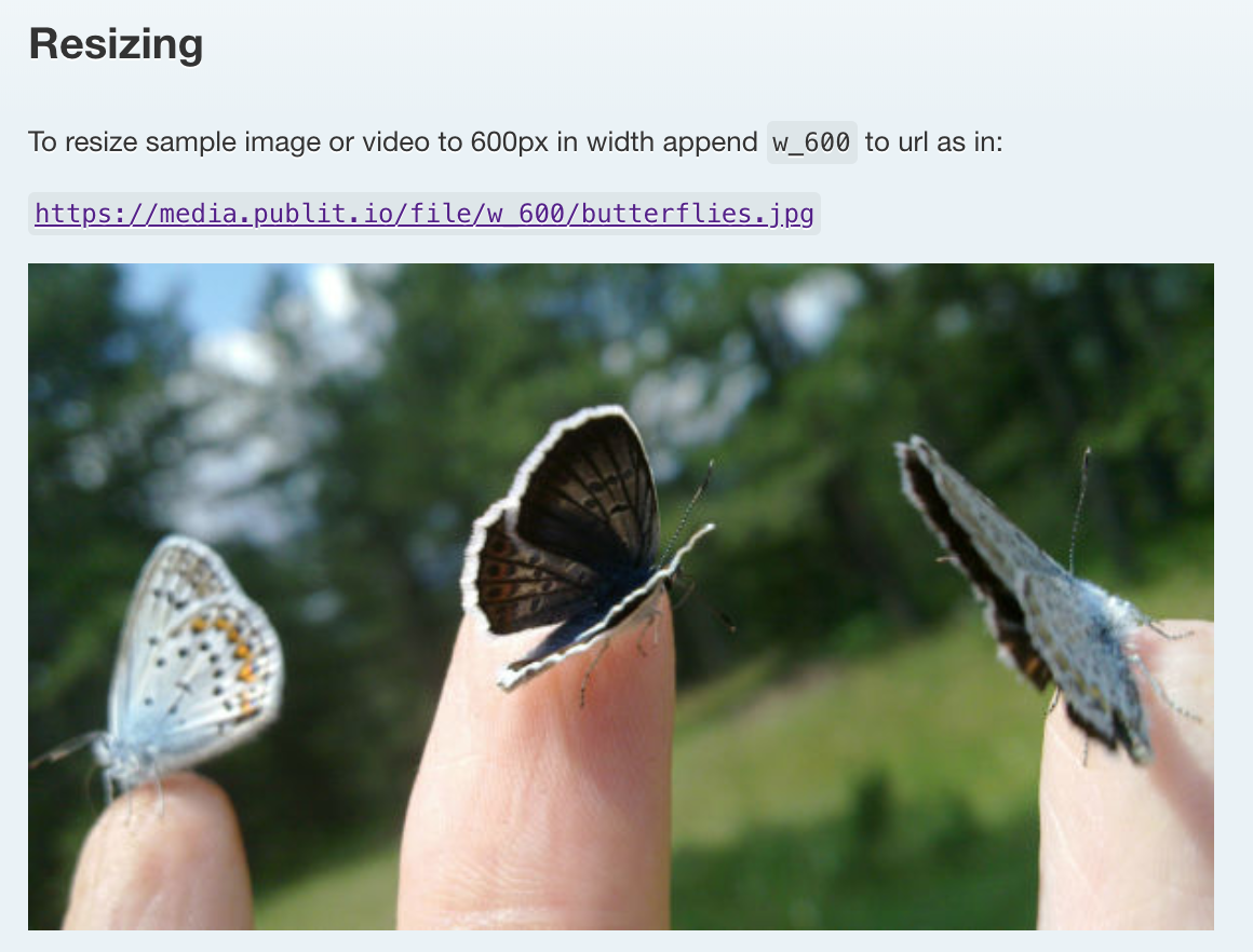 Publitio gallery image