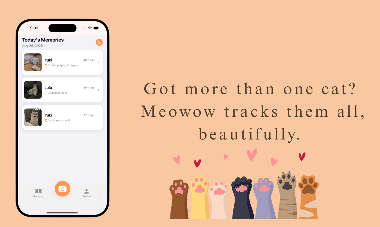Meowow gallery image