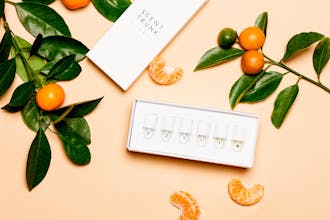 Scent Trunk 2.0 gallery image