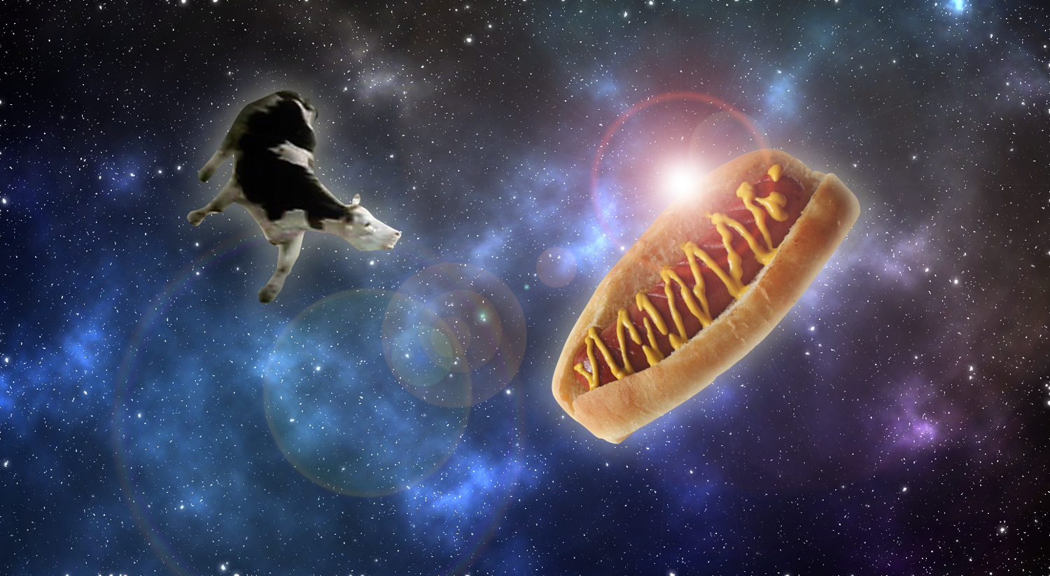 The More Than Just Code podcast gallery image