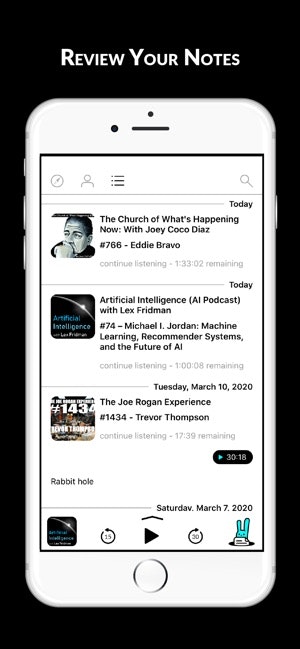 Rabbithole: Your Podcast Notes gallery image