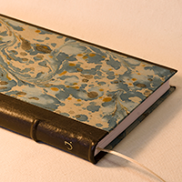 This American Life: Captain's Log