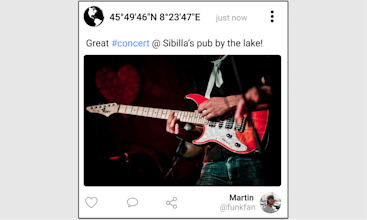 PLESION gallery image