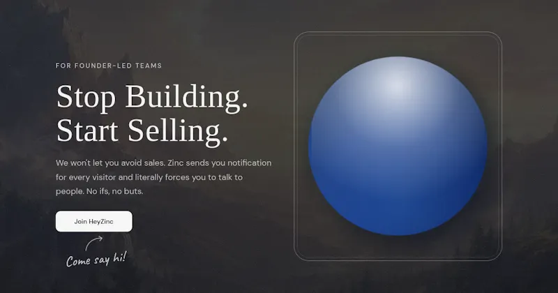 HeyZinc screenshot 1