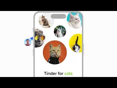 InFlight gallery image