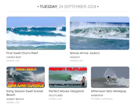 Swell Diary gallery image