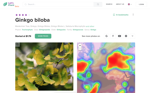 Let's Plant gallery image